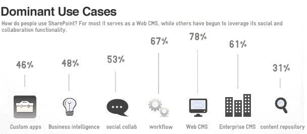 Microsoft SharePoint Application Development Services