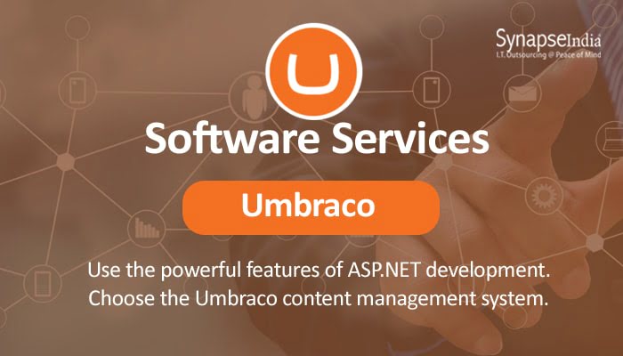 Software Services from SynapseIndia for Growth – Umbraco CMS & More