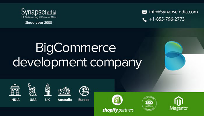 BigCommerce development company - Earn high revenue with us