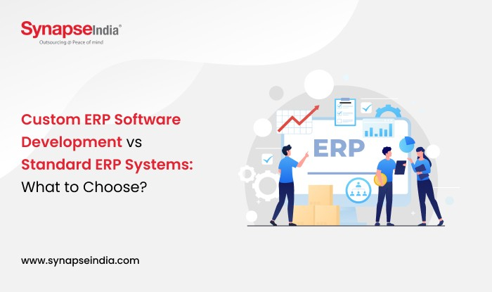Custom ERP Software Development vs Standard ERP Systems: What to Choose?