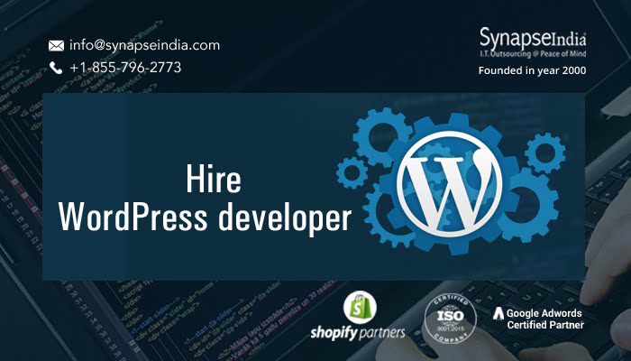 Hire WordPress developer to get bug-free web solutions