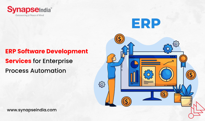 ERP Software Development Services for Enterprise Process Automation