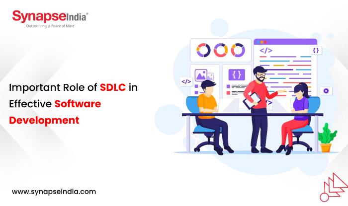 Important Role of SDLC in Effective Software Development
