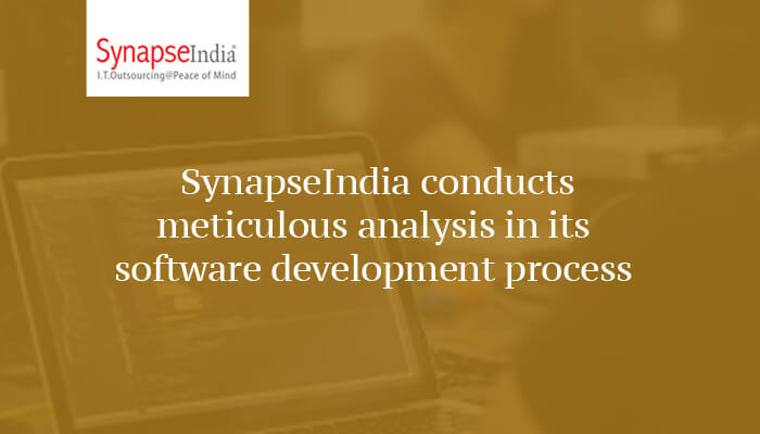 SynapseIndia Analysis Process