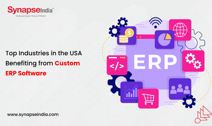Top Industries in the USA Benefiting from Custom ERP Software