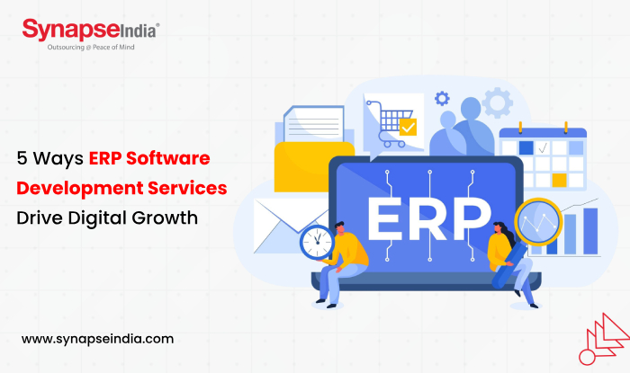 5 Ways ERP Software Development Services Drive Digital Growth