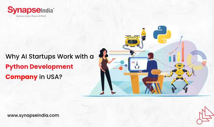 Why AI Startups Work with a Python Development Company in USA?