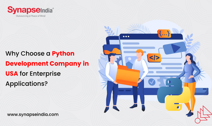 Why Choose a Python Development Company in USA for Enterprise Applications?