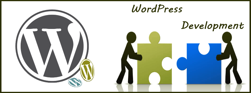 WordPress development in India