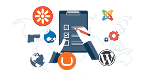 CMS Development
