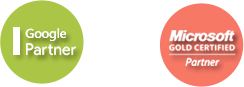 SynapseIndia Strategic Partners