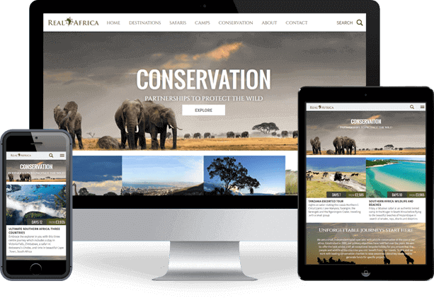SynapseIndia Portfolio - PHP Based Travel Website Development SynapseIndia Portfolio - PHP Based Travel Website Development