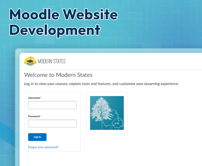 Website in Moodle for NGO of USA - Modern States Education Alliance