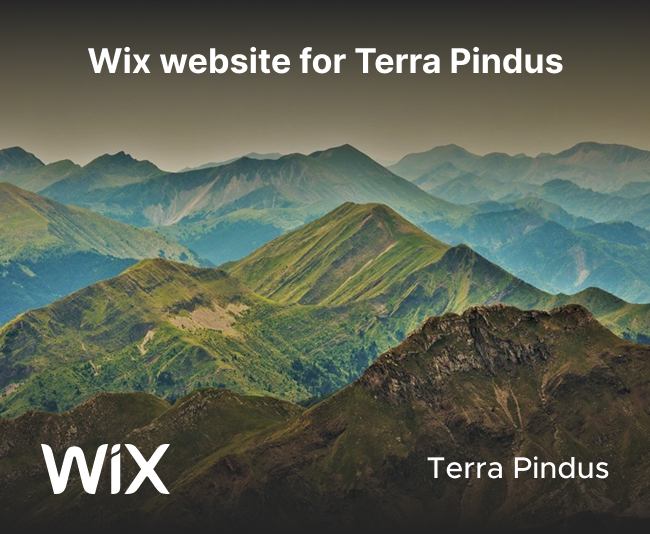 Wix Website Development - Portfolio